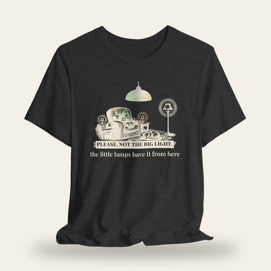 Please, Not the Big Light T-Shirt
